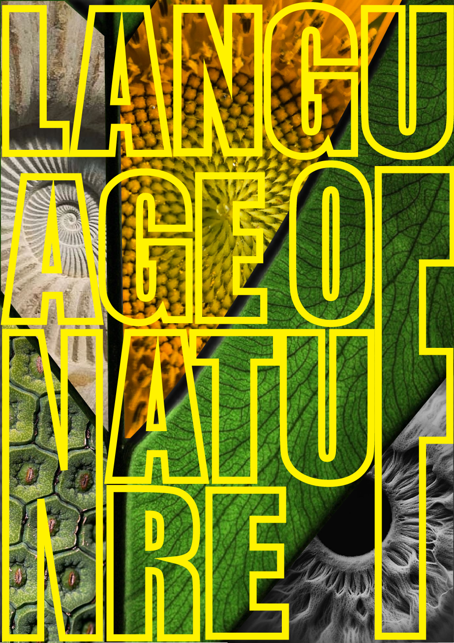 TYPOGRAPHY project image